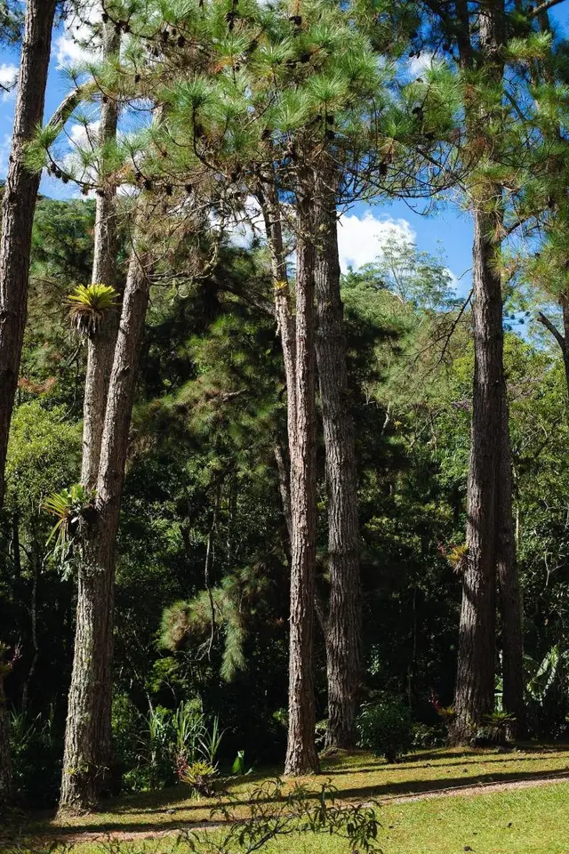 Amadamata Refugio Ecologico