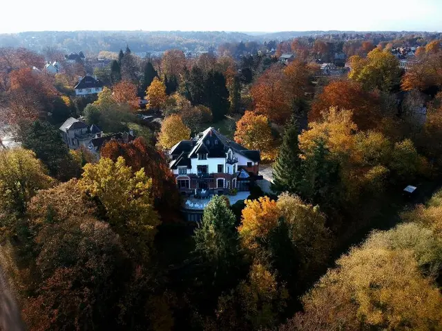 Martin S Manoir
