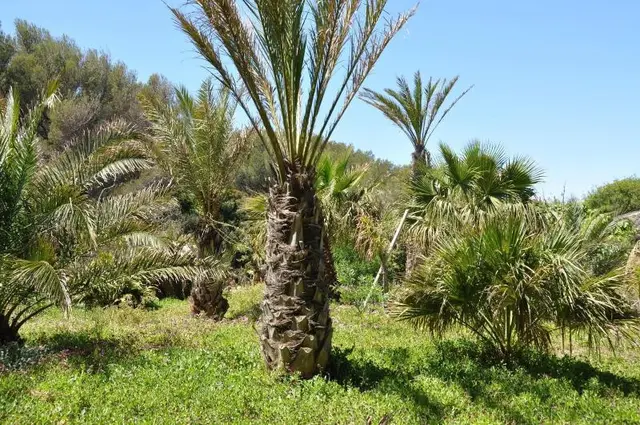 Villa Hippocampe