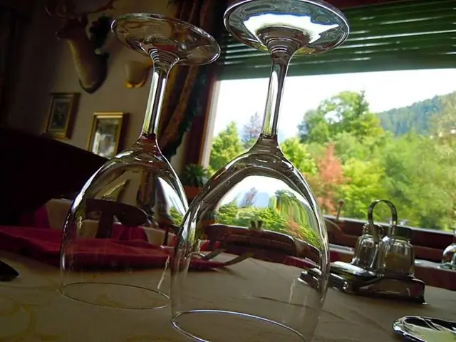 Hotel Zoldana