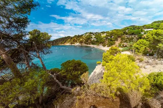 Kampaoh Tossa De Mar