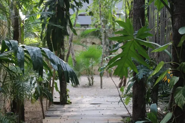 Kuun Taak Tulum