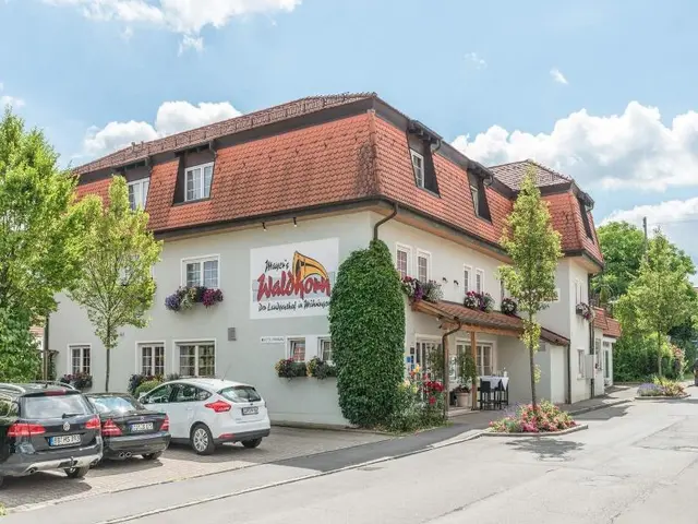 Mayers Waldhorn Zwischen Reutlingen Und Tv Bingen