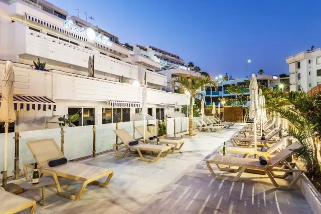 Palm Suites