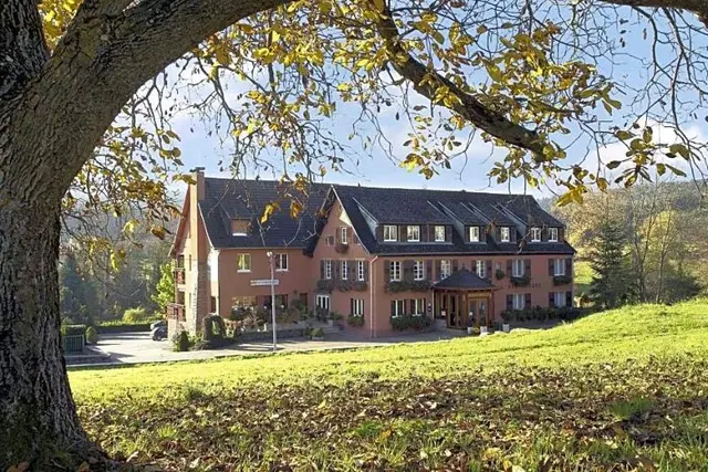 Hotel Restaurant Des Vosges