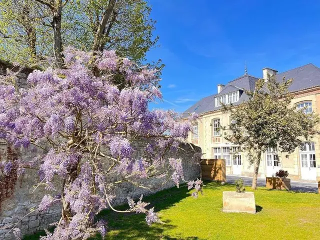 Belle Normandy