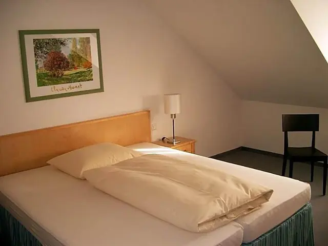 Hotel Lutter