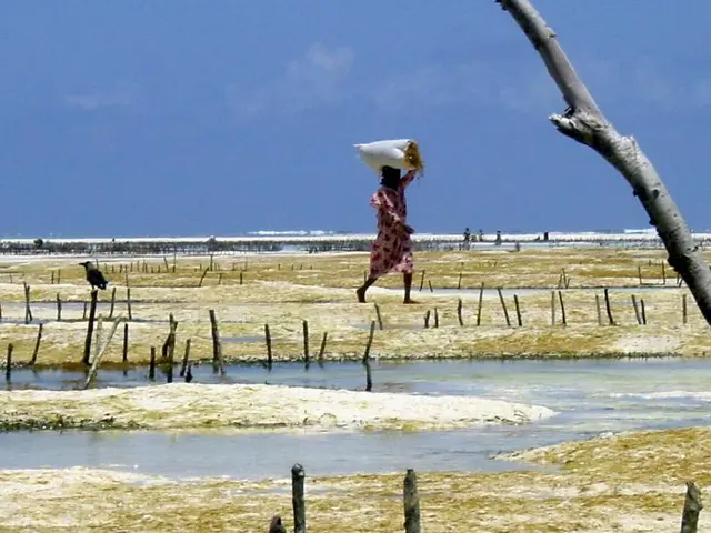 Villa Bahati Zanzibar