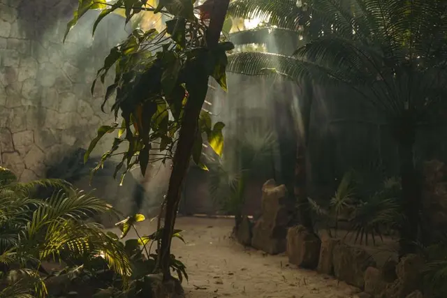 Ether Tulum