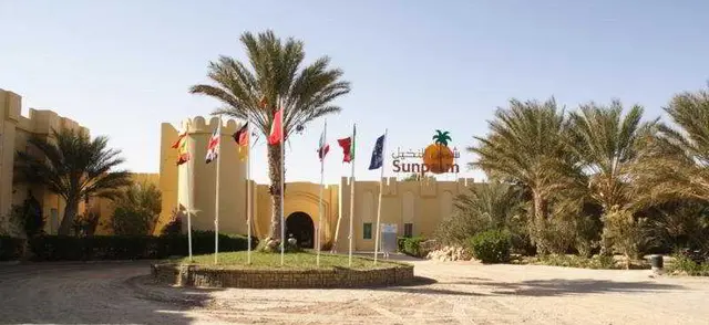 Sun Palm