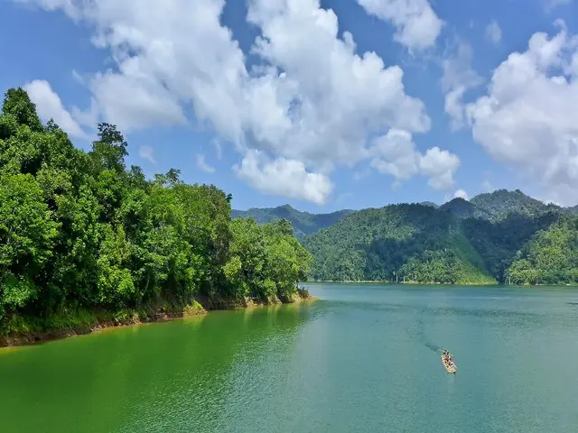 Belum Rainforest Resort