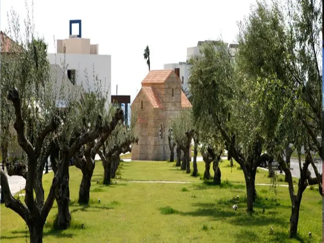Elite City Resort