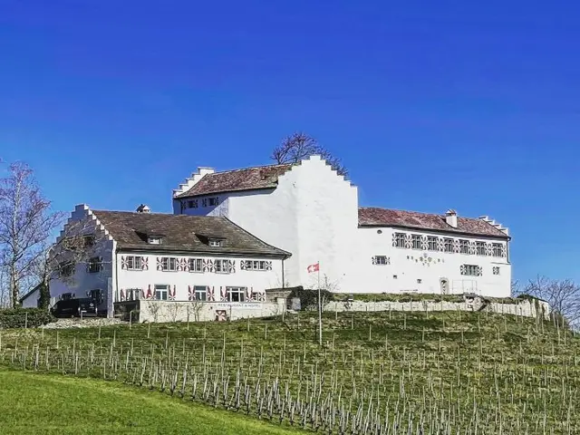Hotel Restaurant Schloss Schwandegg
