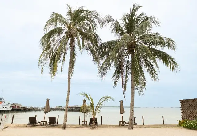 Sadi Beach House