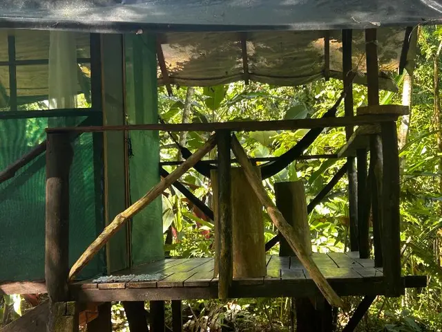 Rio Agujitas Eco Farm Hostel And Tours
