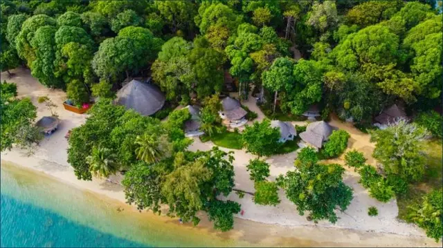 The Tropical Beach Resort