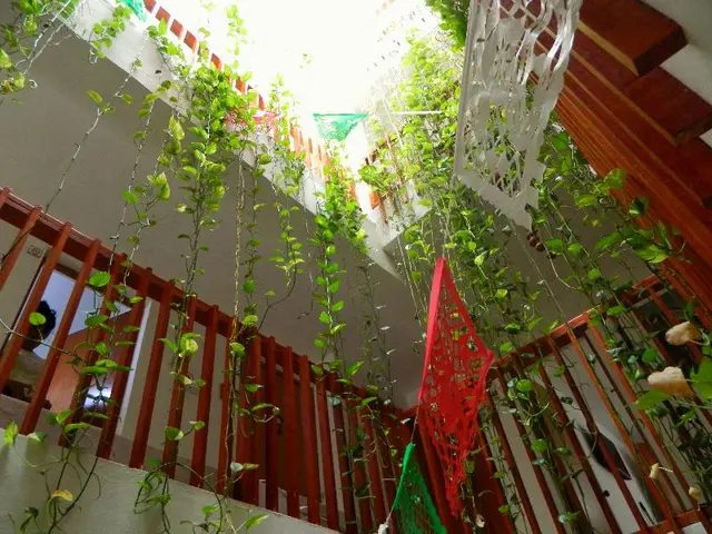 Casa Laurel