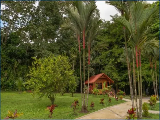 Natural Green Lodge