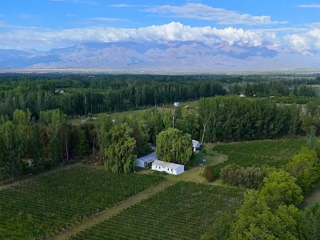 Postales Finca & Bodega by DOT Boutique