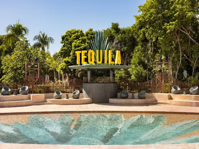 Bahia Principe Escape Tequila Hyatt Incl Col AO AI
