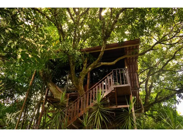 Heliconias Nature Inn & Hot Springs