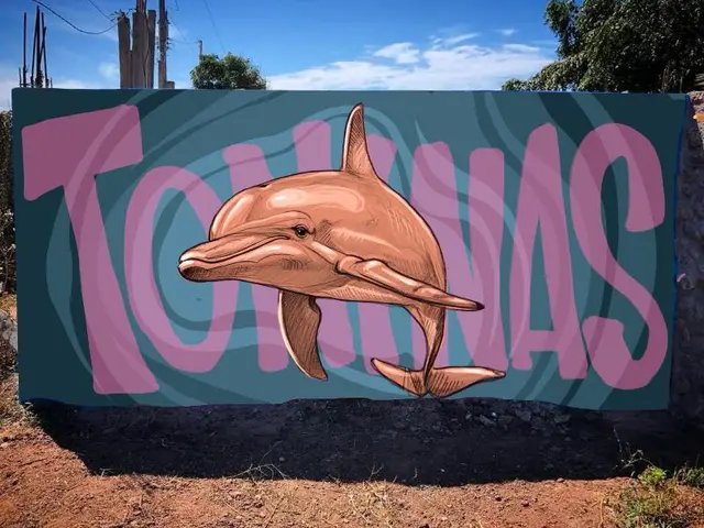 Toninas Mexico