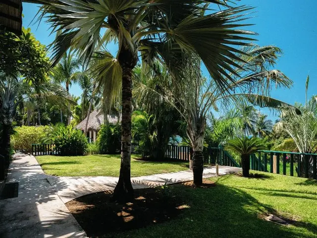 Bungalows Oasis