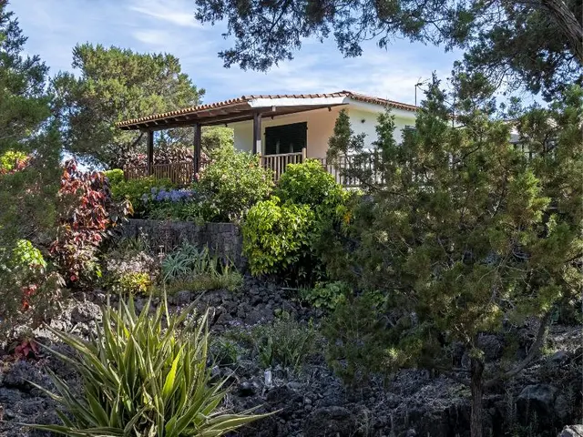 Sabinas & Terrazas Malpaís