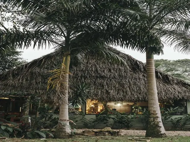 Bocawina Rainforest Resort & Adventures