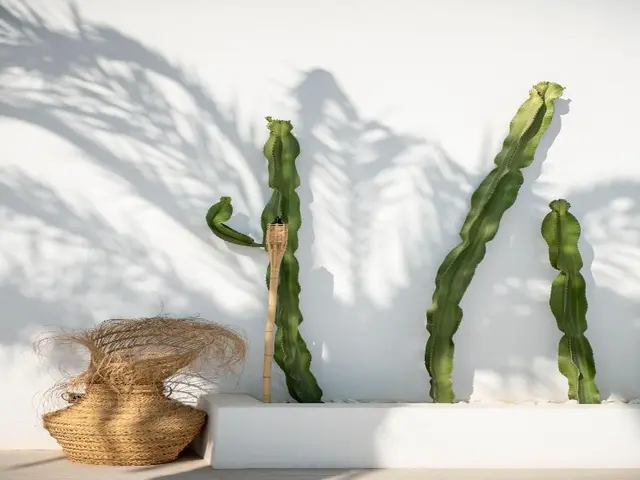 The Olive Boutique Suites And Spa