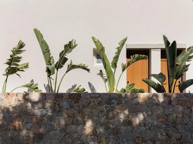 Viva Nove Suites