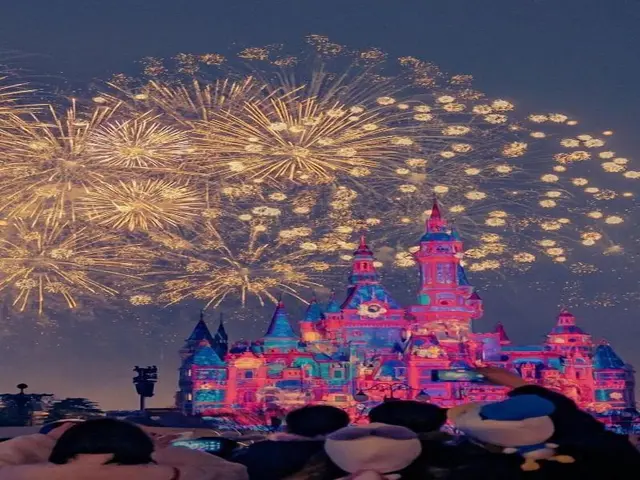 Shanghai Vintage Hotel Disneyland Branch