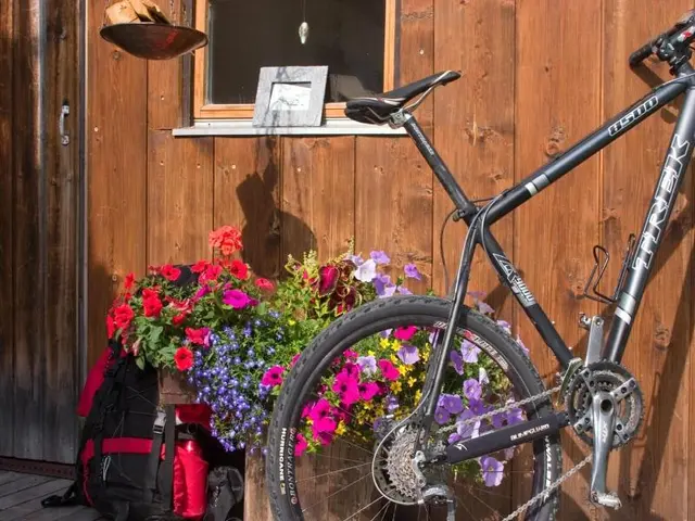Almhã¼tte & Skihã¼tte Kohlerhaus
