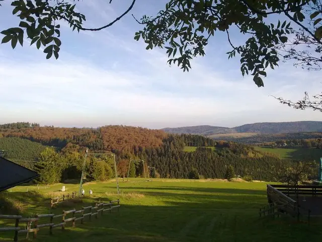 Spacious Cottage In Neuastenberg Sauerland Near