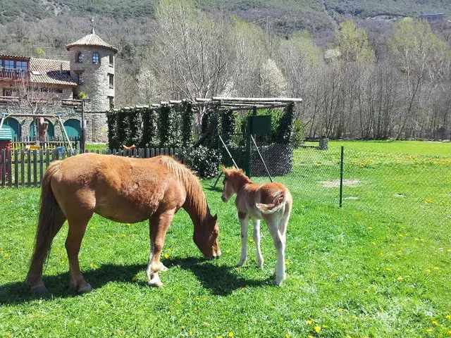 La Borda De Ritort