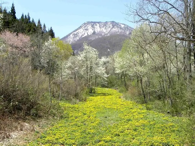 Petit Hotel Kazekozou