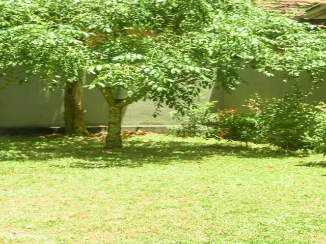 Urban Galle Villa
