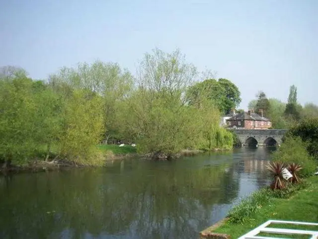 The Legacy Rose And Crown