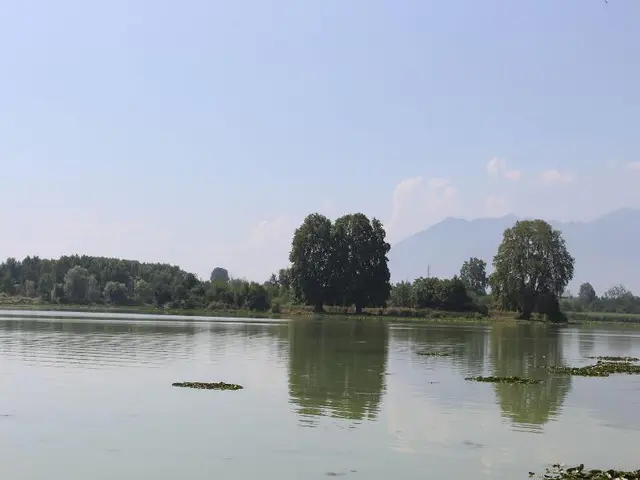 Nigeen Lake View Resort