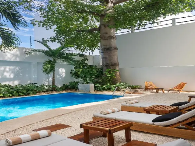 Casa Rodina