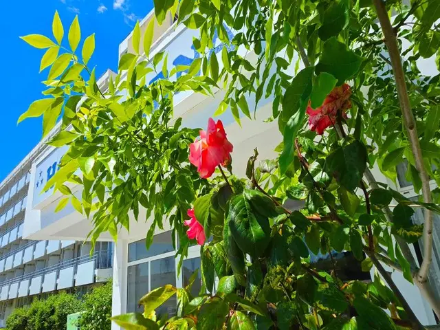Hotel Cerna