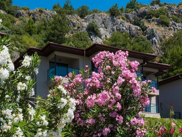 TUI BLUE Seno - Adults Only