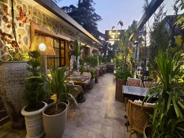 Romeo Lane, Mussoorie By Alivaa