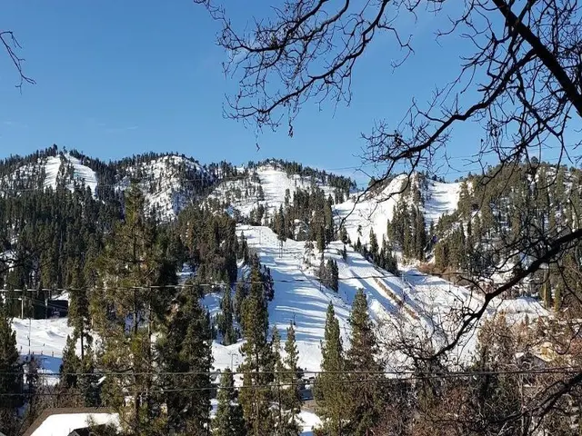 A Ski View