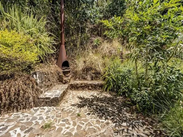 Finca El Tambor