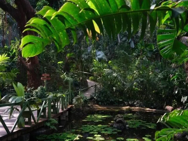 Island Accommodation Nadi