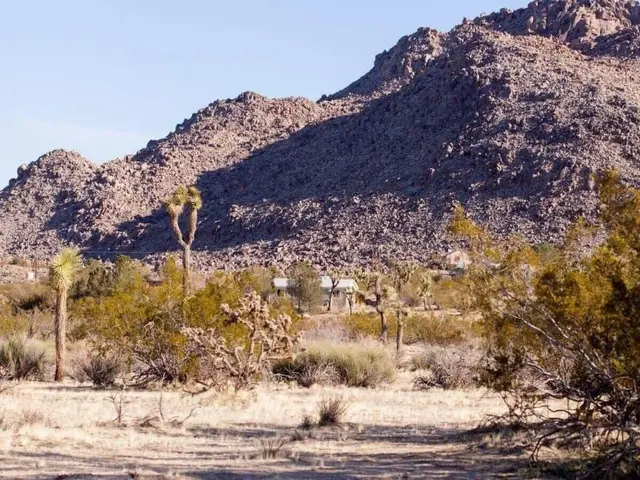 @ Marbella Lane - 10 Acres Oasis Desert Retreat!