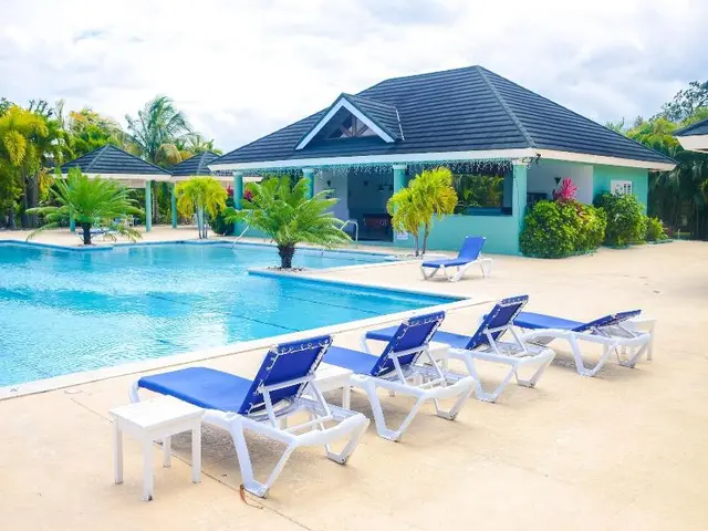 Tranquillity At The Palms