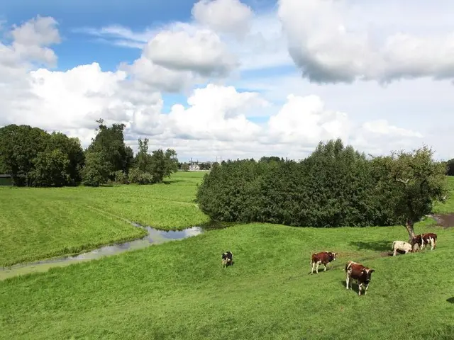 Quaint Farmhouse Near River In Oosterwijk