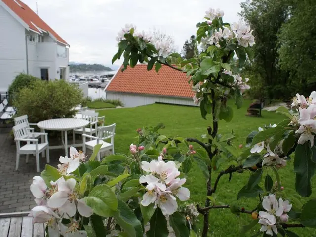 Fjordbris Hotell